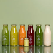 Programa Dia Inteiro Signature (Fresh)